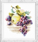 Виноград и яблоки - фото 6970