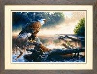 Набор для раскрашивания Орел-охотник, 51x36 см