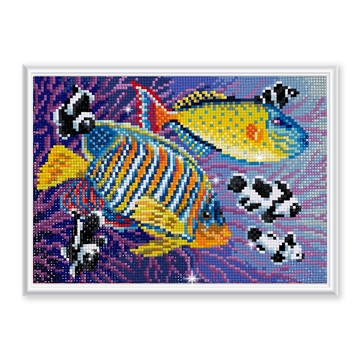Алмазная мозаика Разноцветные рыбки