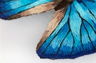 Набор для вышивания "Живая картина" "Бабочка. Морфо адонис" - фото 10301