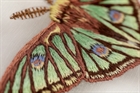 Набор для вышивания "Живая картина" "Бабочка. Изабелла" - фото 10309