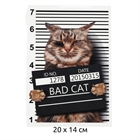 Термотрансфер Bad Cat, 20х14см - фото 12035