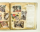 A Compendium of Curiosities by Tim Holtz Idea-ology TH92826 - фото 12361