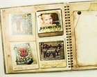 A Compendium of Curiosities by Tim Holtz Idea-ology TH92826 - фото 12364