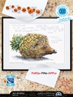 Набор для вышивания РТО "PoRQu-PiNe-APPLe" РТО-M70042 - фото 12852