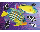 Алмазная мозаика Разноцветные рыбки - фото 6199