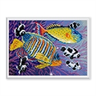 Алмазная мозаика Разноцветные рыбки - фото 7461